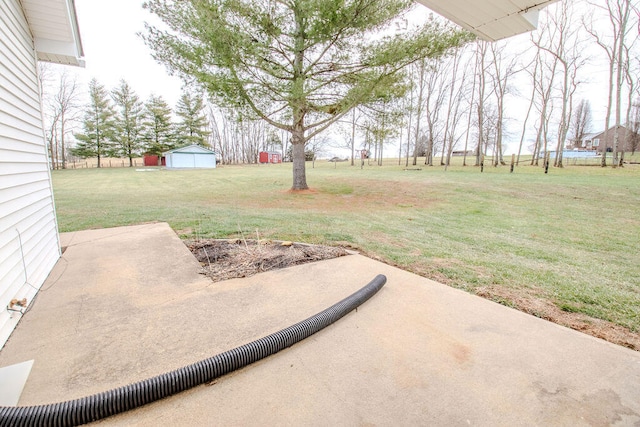 view of yard with a patio and a shed