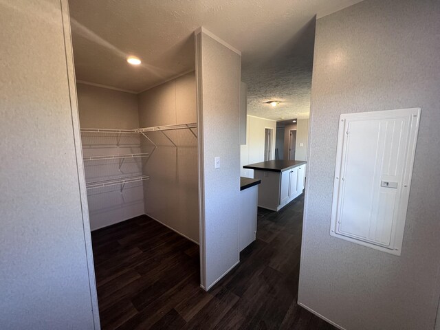 unfurnished bedroom featuring crown molding, a textured ceiling, and dark wood-type flooring