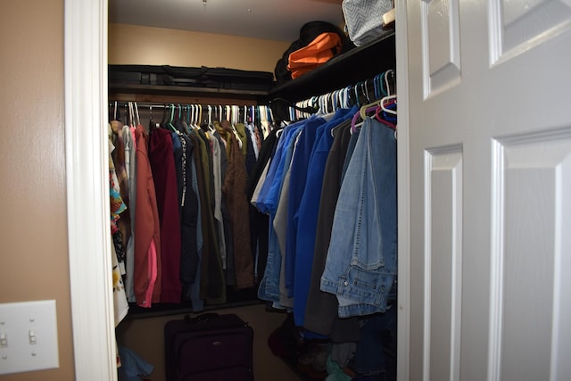 view of spacious closet