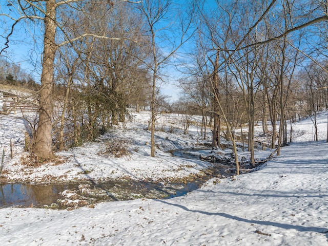 view of snowy yard