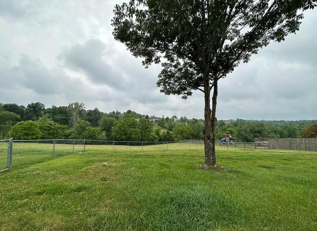 view of yard with a rural view