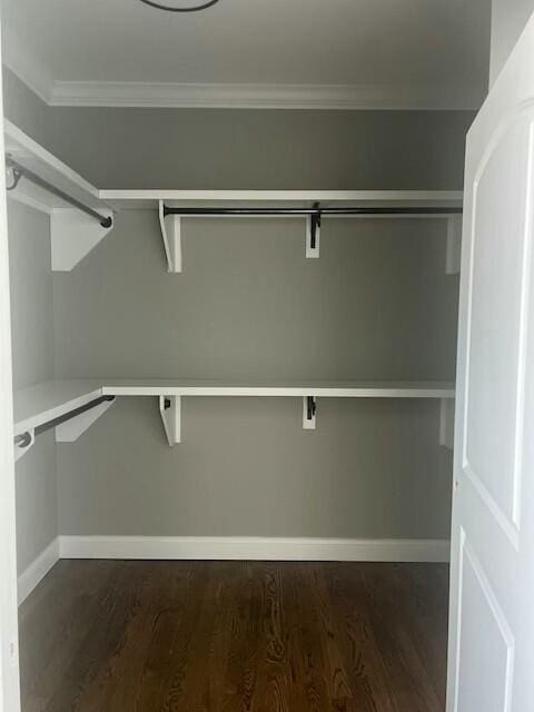 spacious closet featuring dark hardwood / wood-style floors