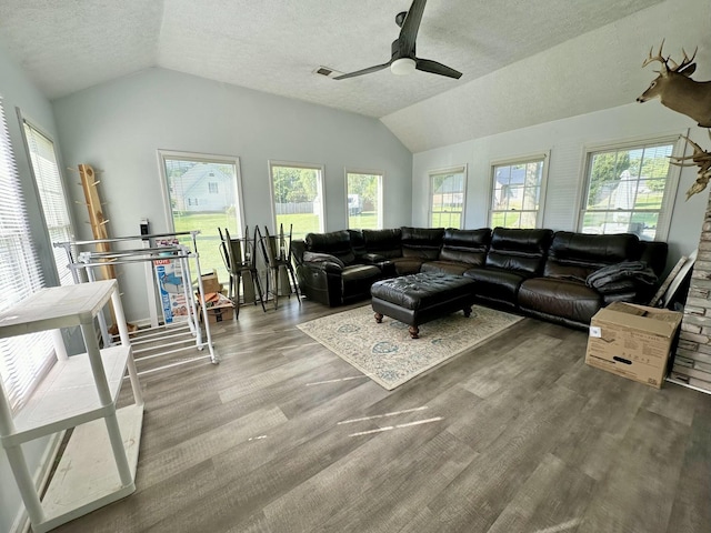 living room featuring lofted ceiling, a healthy amount of sunlight, ceiling fan, and a textured ceiling