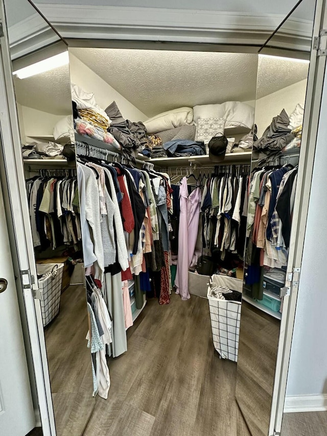 walk in closet with hardwood / wood-style flooring