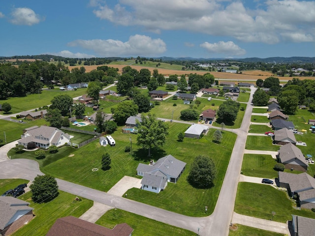 bird's eye view