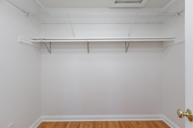 walk in closet featuring light wood-type flooring