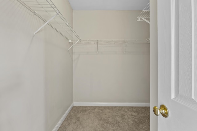 walk in closet with carpet