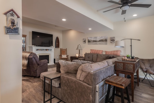 living room with ceiling fan and wood-type flooring