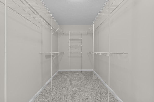 walk in closet with carpet