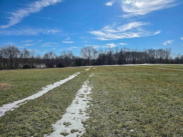 view of yard featuring a rural view