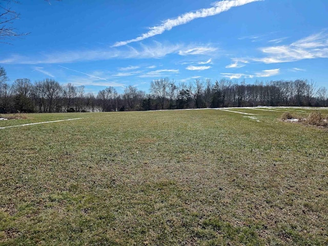 view of yard featuring a rural view