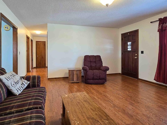 living room with a textured ceiling and wood-type flooring