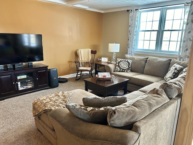 living room with carpet floors and ornamental molding