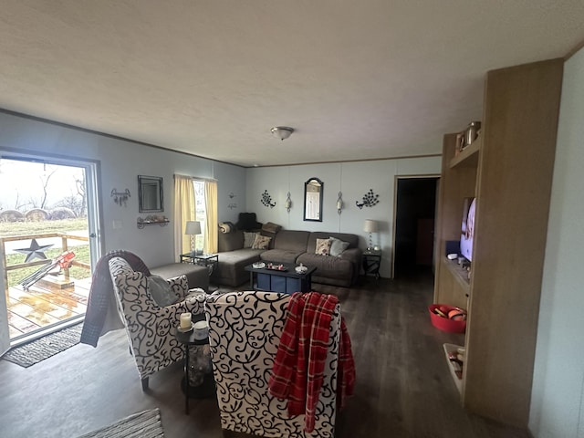 living room featuring dark hardwood / wood-style floors