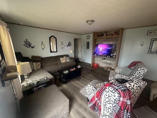 living room with hardwood / wood-style floors