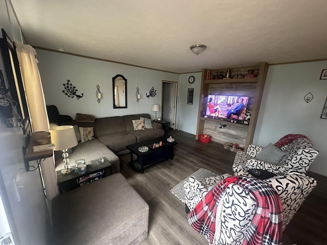 living room with hardwood / wood-style flooring