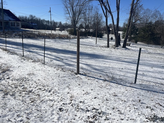 view of snowy yard