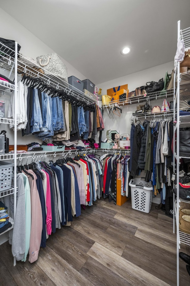 walk in closet featuring dark wood-type flooring