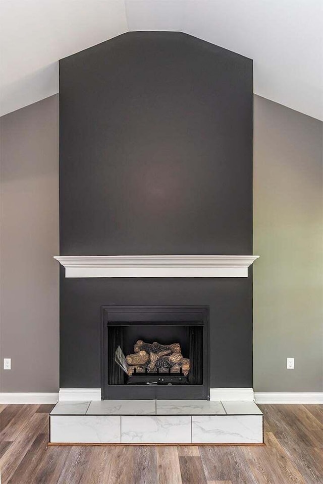 room details featuring hardwood / wood-style floors and a fireplace