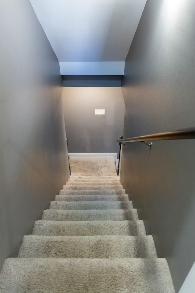 staircase featuring carpet