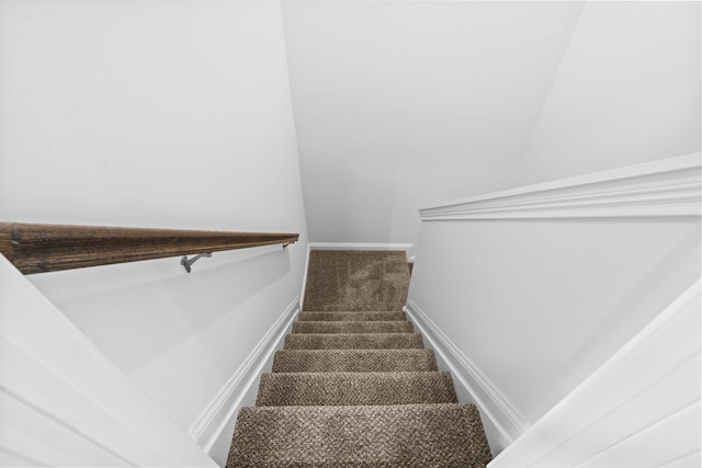 staircase with carpet floors