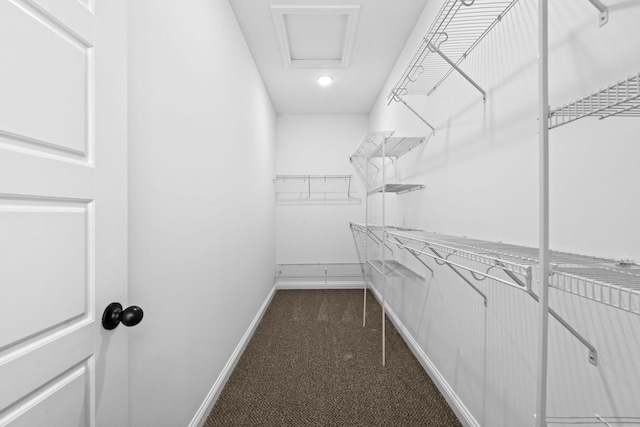 walk in closet with dark colored carpet and attic access