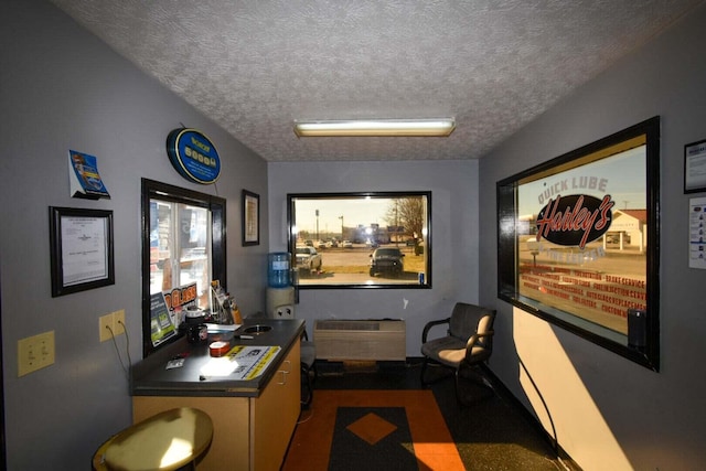 office with a textured ceiling