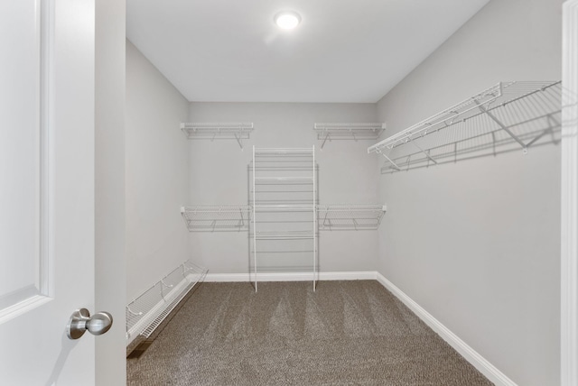 walk in closet with dark carpet