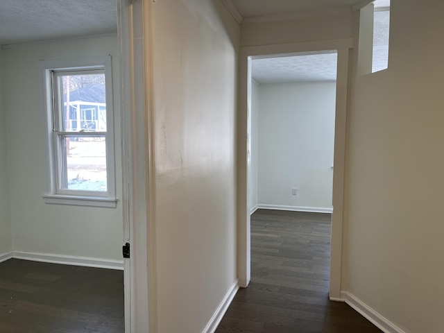 hall with crown molding, dark hardwood / wood-style flooring, and a textured ceiling