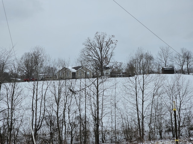 view of snowy yard