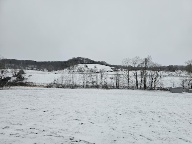 view of yard layered in snow