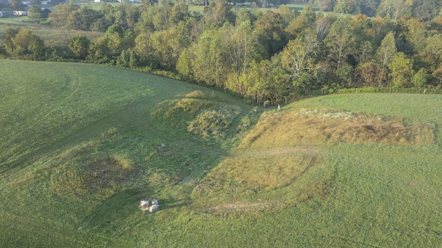 drone / aerial view featuring a rural view