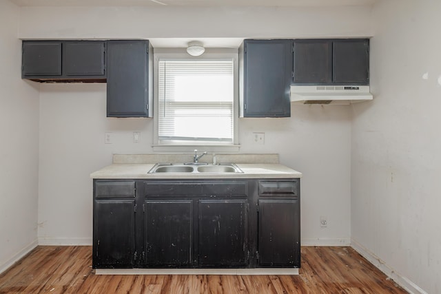 kitchen featuring sink and wood-type flooring