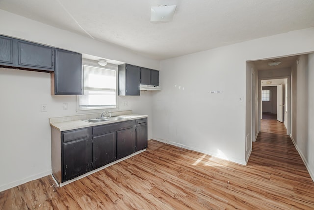 kitchen featuring light hardwood / wood-style flooring and sink