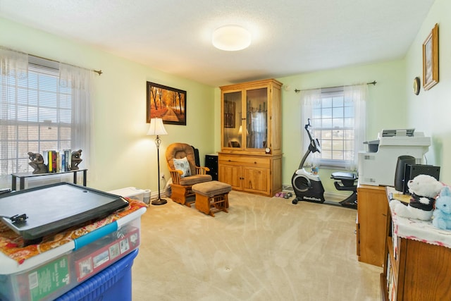 office featuring light colored carpet and a textured ceiling