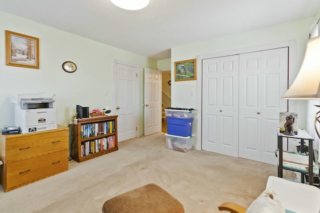 sitting room with light carpet