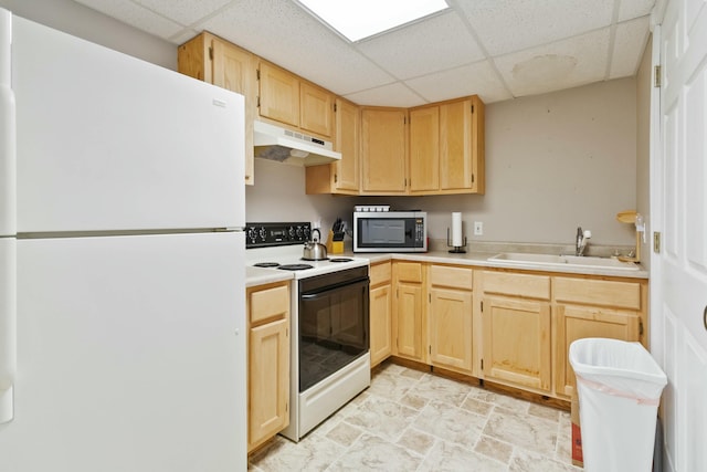 kitchen featuring a drop ceiling, sink, range with electric stovetop, light brown cabinets, and white refrigerator