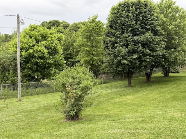 451 Parkside Rd, London, KY 40744 - view of yard