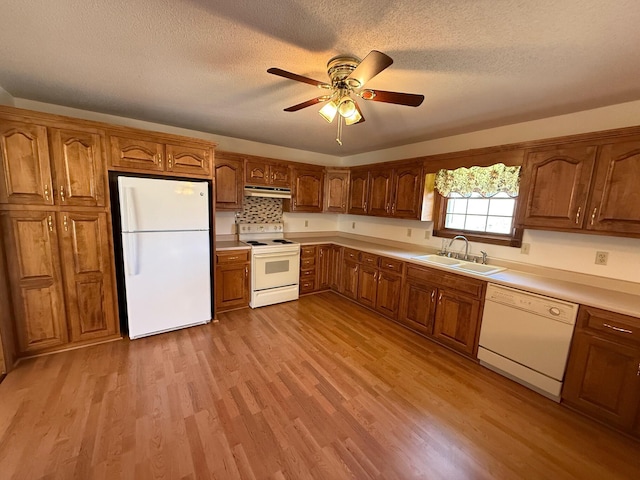 kitchen with sink, light wood-type flooring, white appliances, ceiling fan, and a textured ceiling