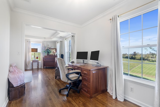 office area featuring a tray ceiling, dark hardwood / wood-style flooring, and ornamental molding