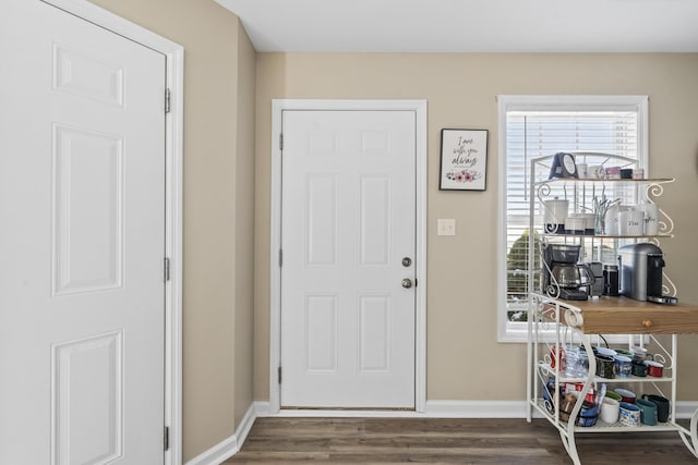 entryway featuring wood-type flooring