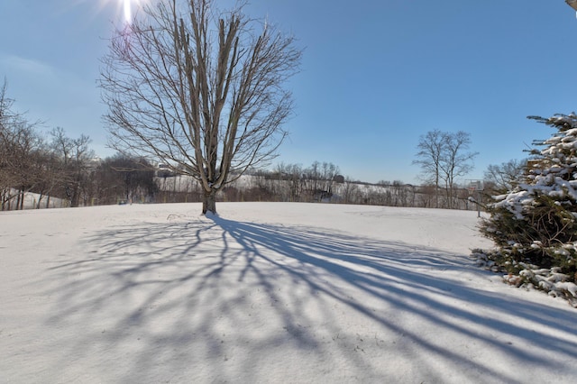 view of snowy yard