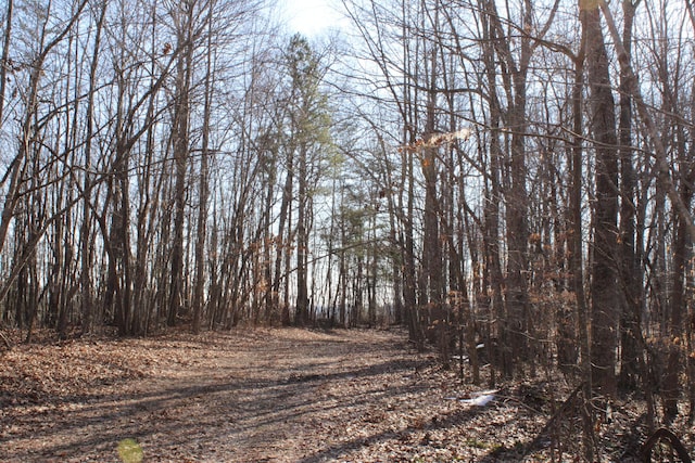 view of landscape