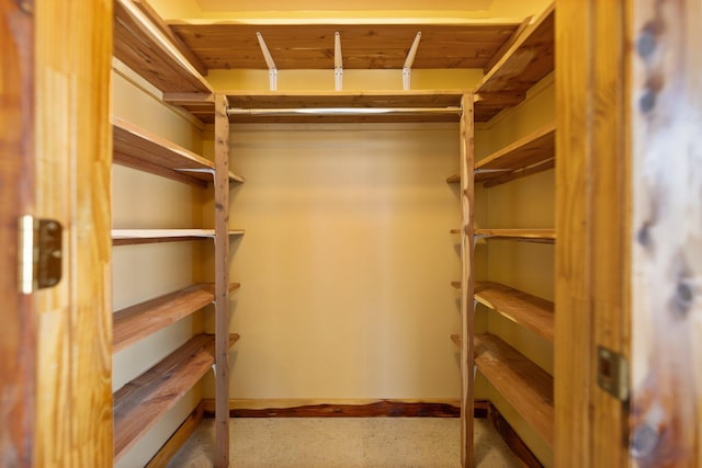 view of spacious closet