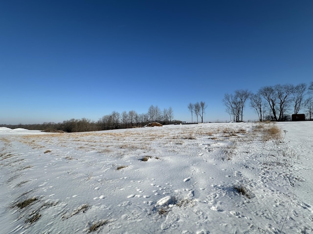 view of yard layered in snow