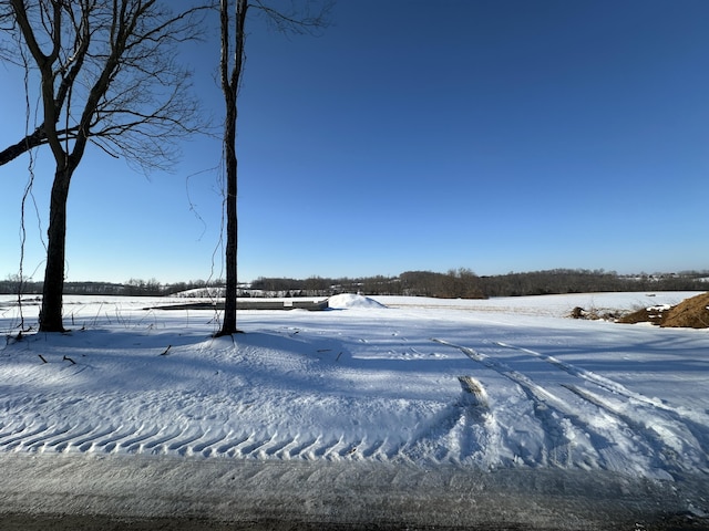 view of yard covered in snow