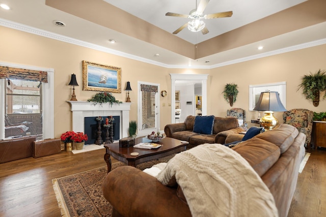 living room with dark hardwood / wood-style flooring, crown molding, a raised ceiling, and ceiling fan