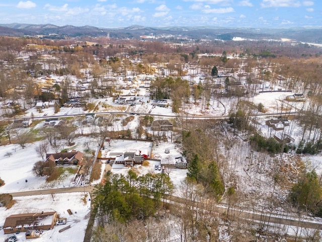 snowy aerial view featuring a mountain view