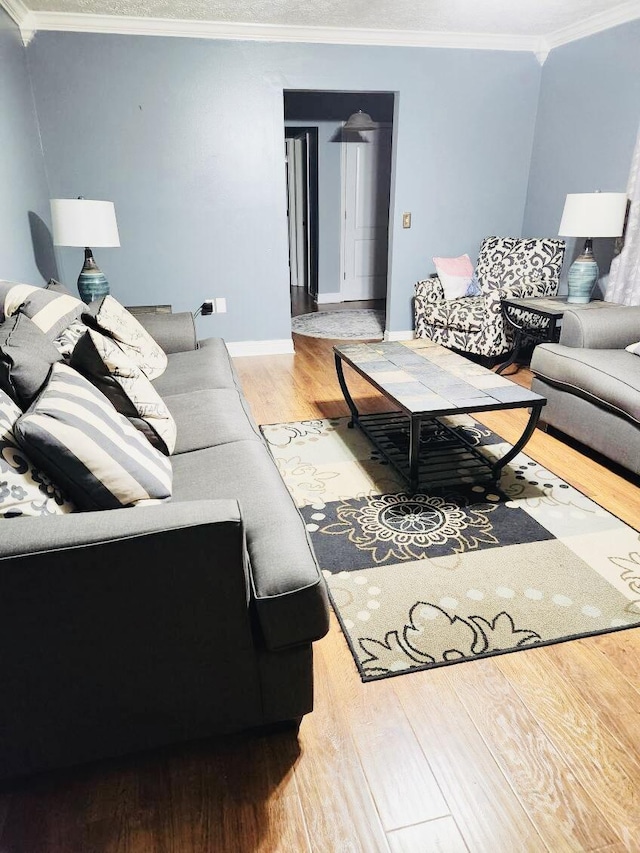 living room featuring wood-type flooring and ornamental molding