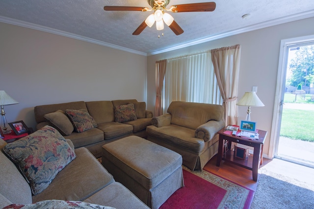 living room featuring light hardwood / wood-style floors, a textured ceiling, ceiling fan, and ornamental molding